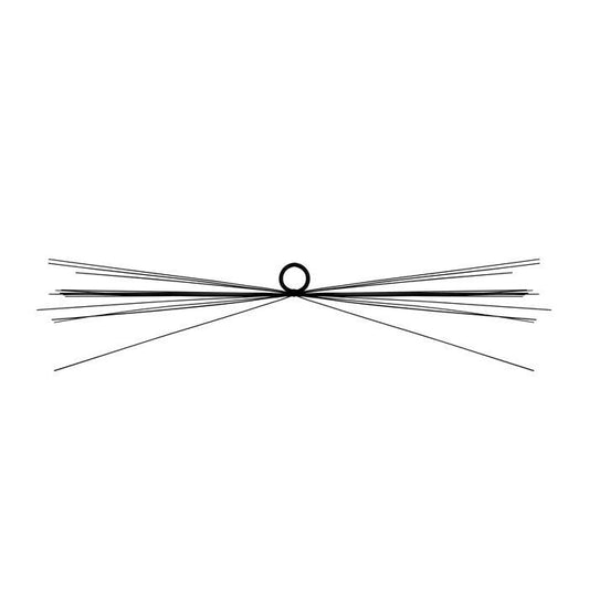 Whiskers