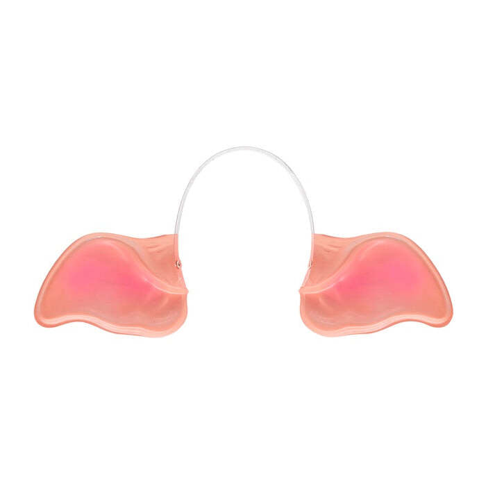 Pig Ears