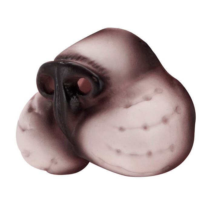 Cat Nose