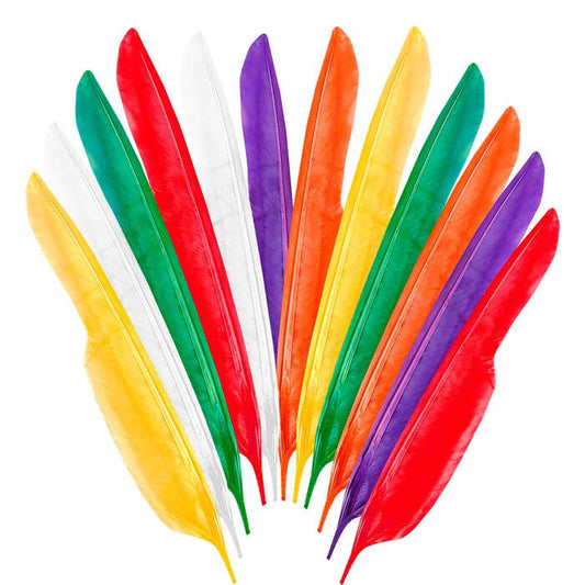 Set Of 12 Native Indian Feathers 35 Cm - 6 Col. Ass