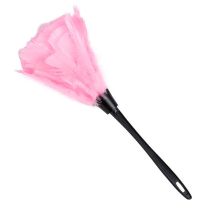 Pink Feather Duster