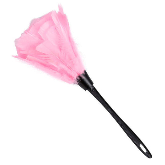 Pink Feather Duster