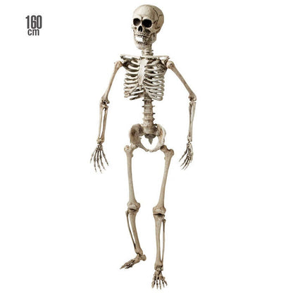 Skeleton Posable - 160 Cm