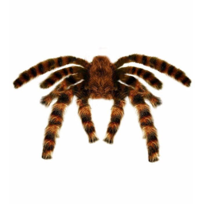 Giant Bendable Furry Tarantula 65 Cm