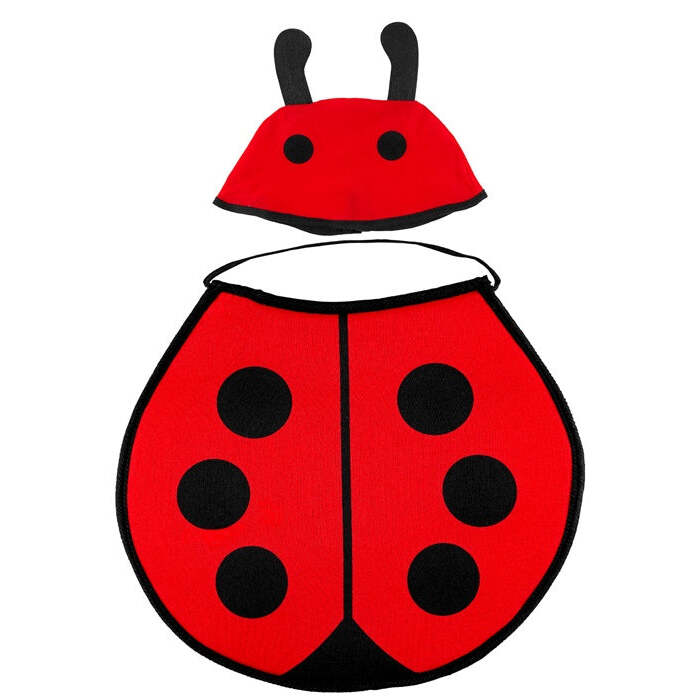 Ladybug  Bonnet & Bib 