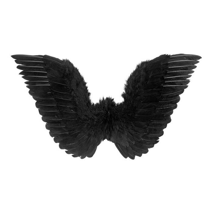 Black Feathered Wings 78X36 Cm
