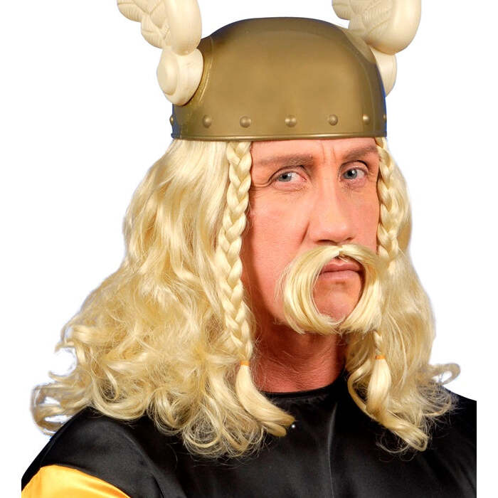 Gaulois Wig With Moustache In Box