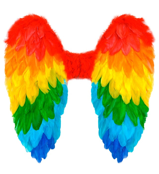Rainbow Foldable Feather Wings 50X50 Cm