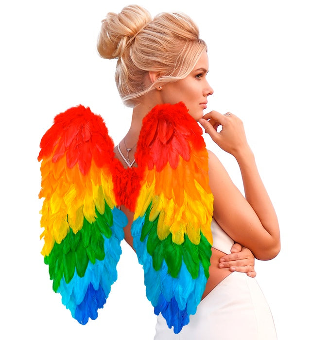 Rainbow Foldable Feather Wings 50X50 Cm