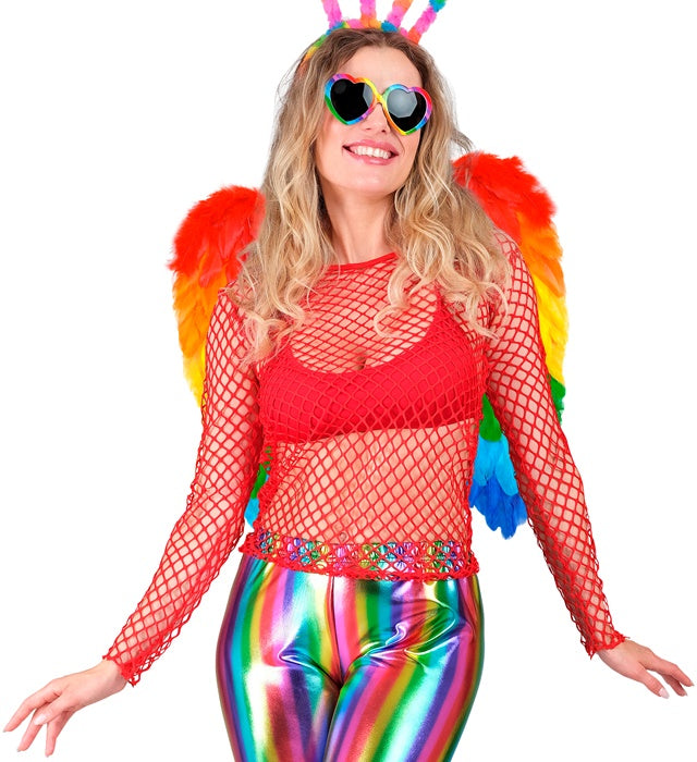 Rainbow Foldable Feather Wings 50X50 Cm