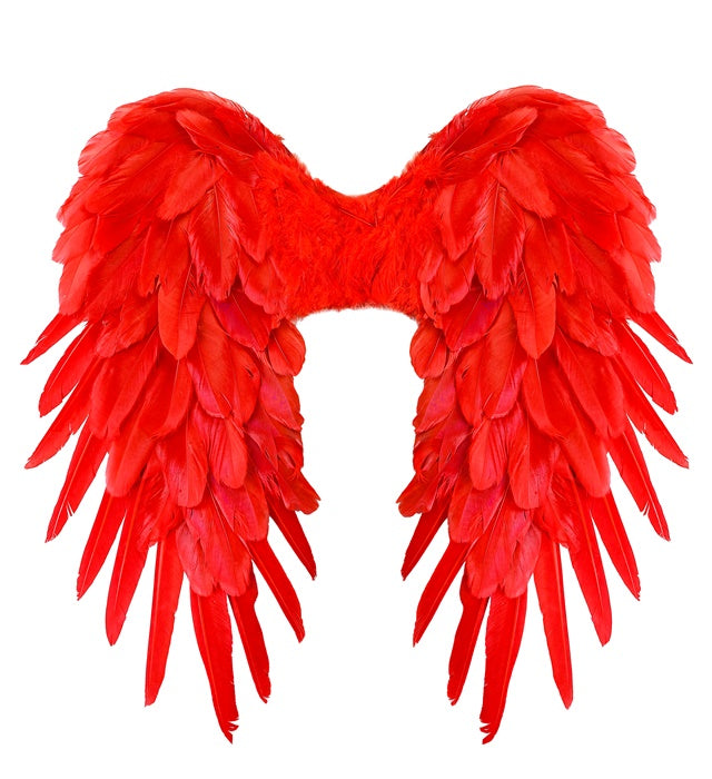 Red Foldable Feather Wings 50X50 Cm