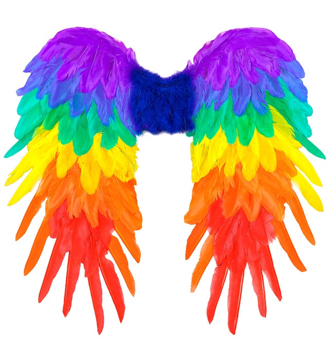 Rainbow Foldable Feather Wings 50X50 Cm
