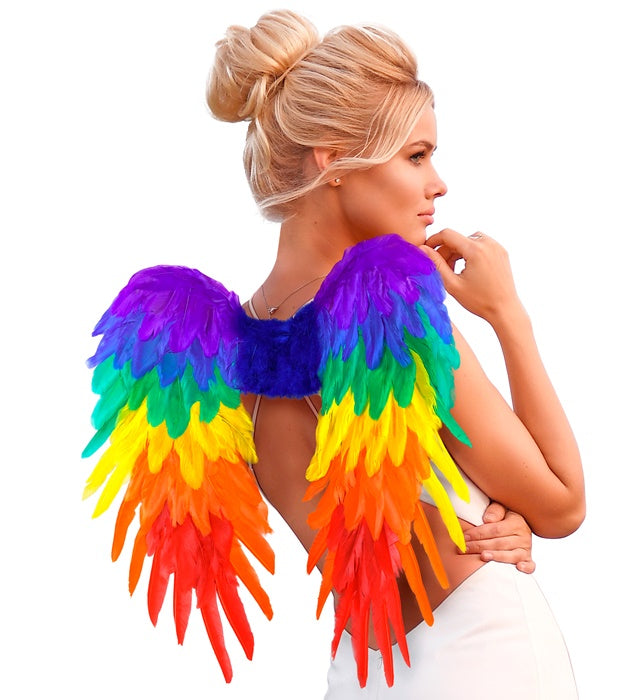 Rainbow Foldable Feather Wings 50X50 Cm