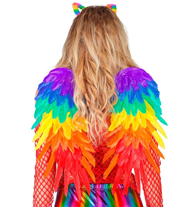Rainbow Foldable Feather Wings 50X50 Cm