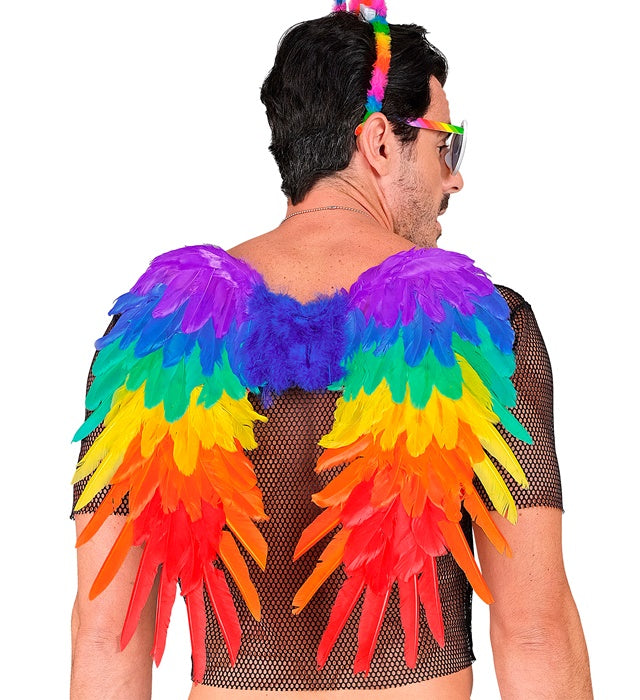 Rainbow Foldable Feather Wings 50X50 Cm