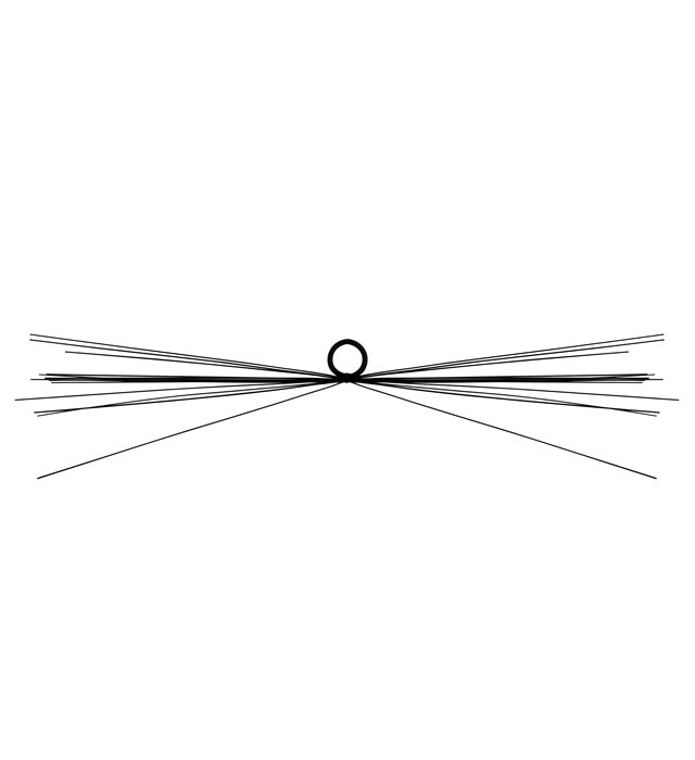 Whiskers