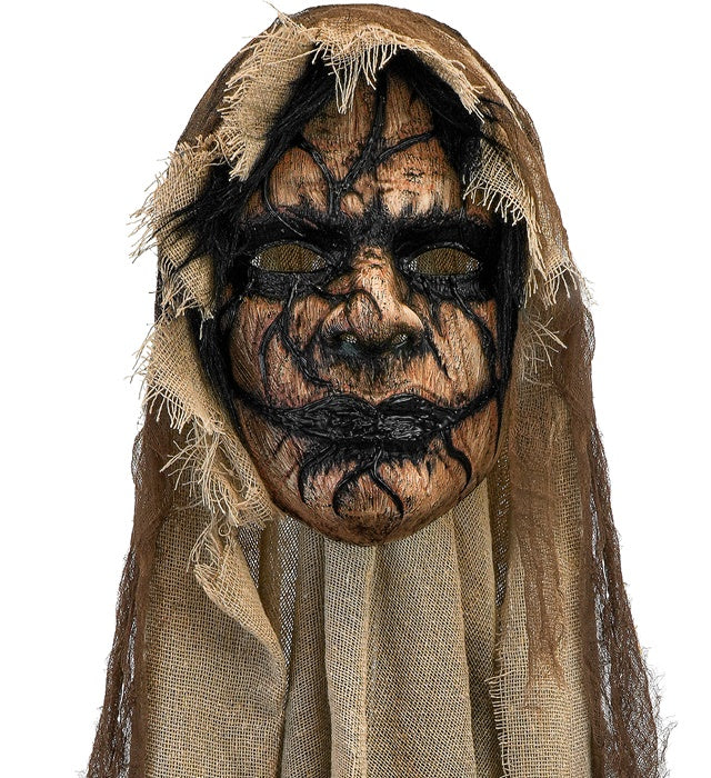 Mask With Cape Demon