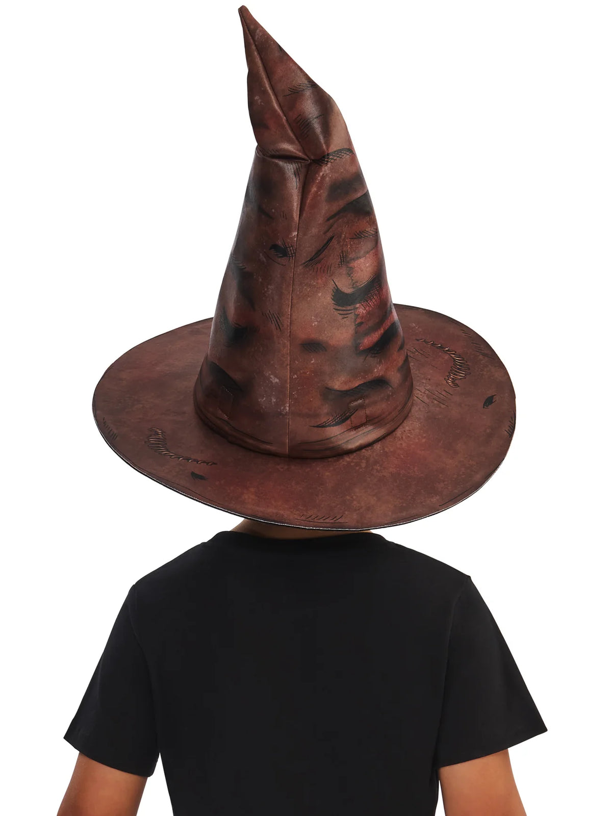 Harry Potter Hogwarts Sorting Hat 3