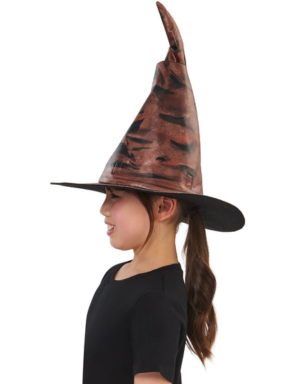 Harry Potter Hogwarts Sorting Hat 4