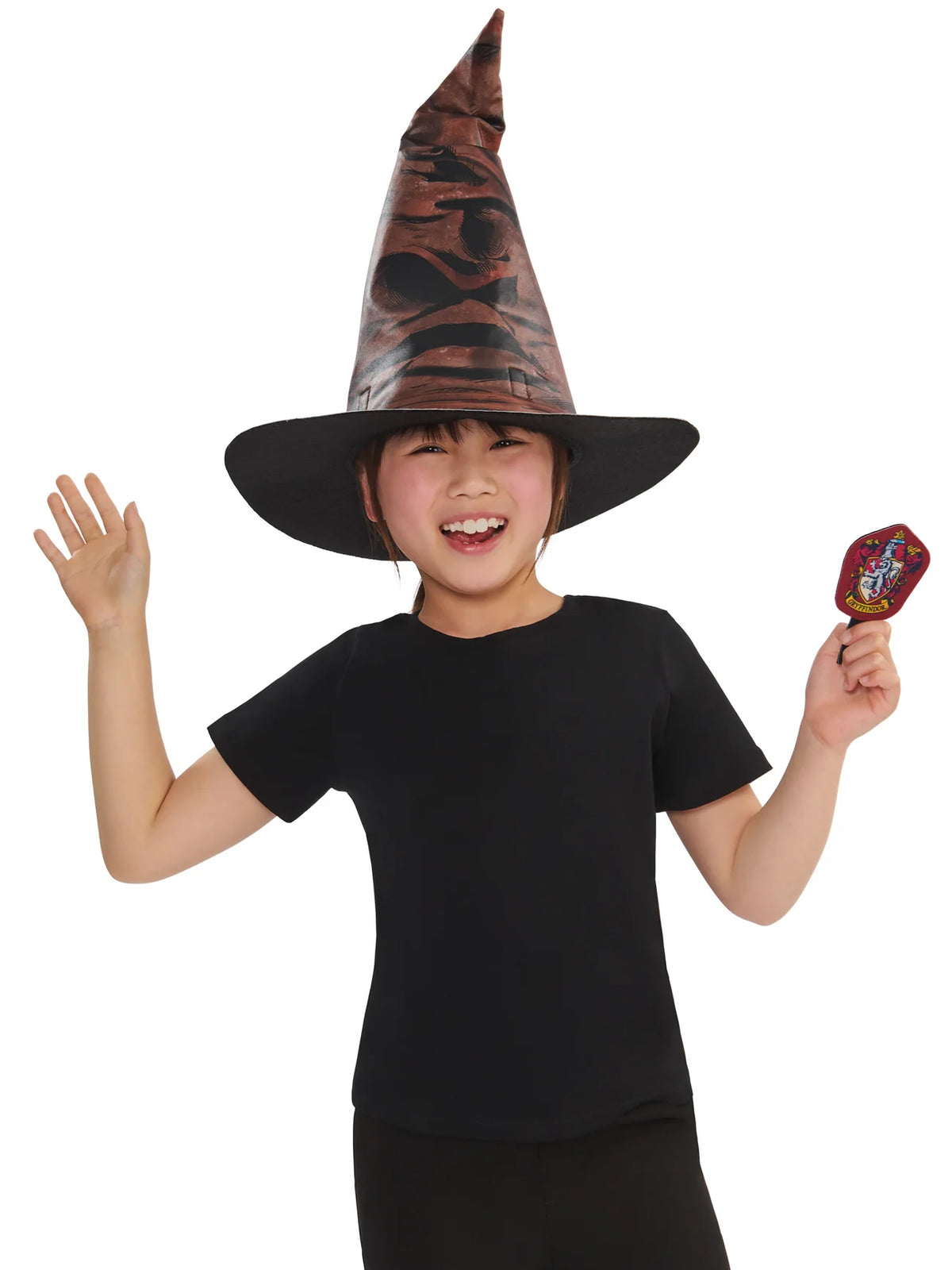 Harry Potter Hogwarts Sorting Hat 5