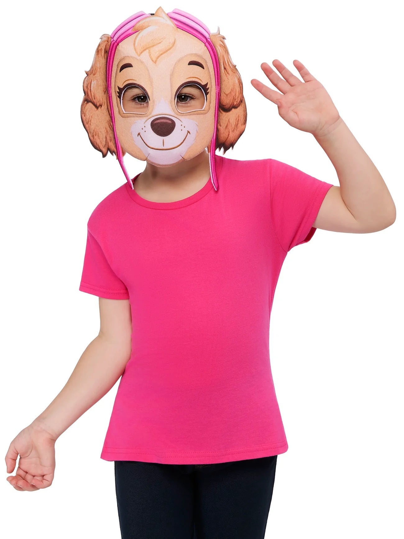Skye Felt Mask Paw Patrol Costume Accessory 1