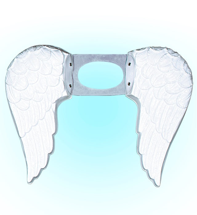 Angel Wings Plastic 55X38 Cm