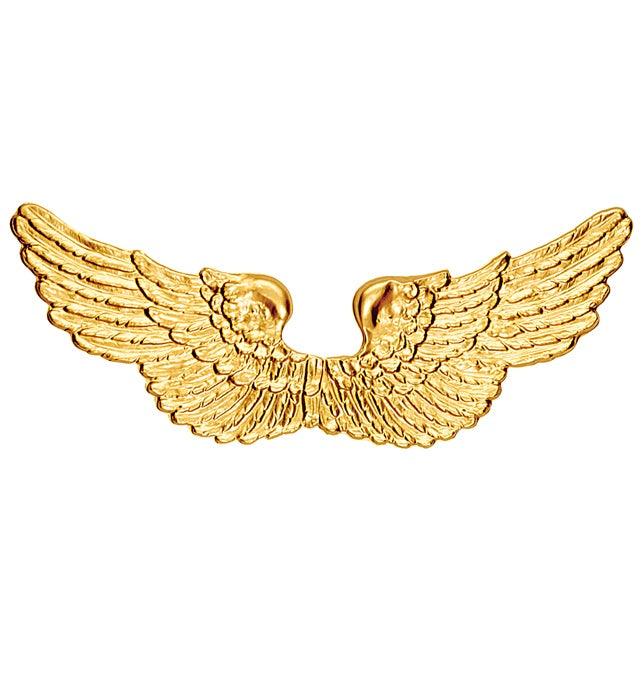 Golden Angel Wings Plastic 88X30 Cm