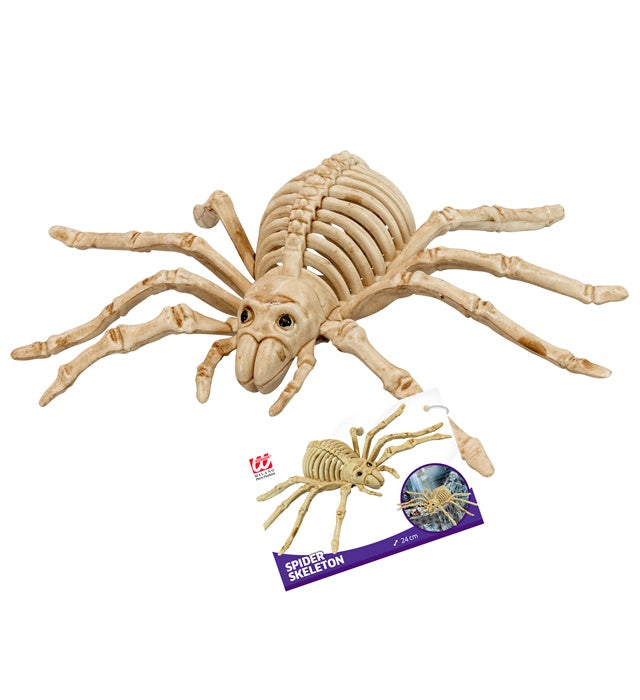 Spider Skeleton 24 Cm 