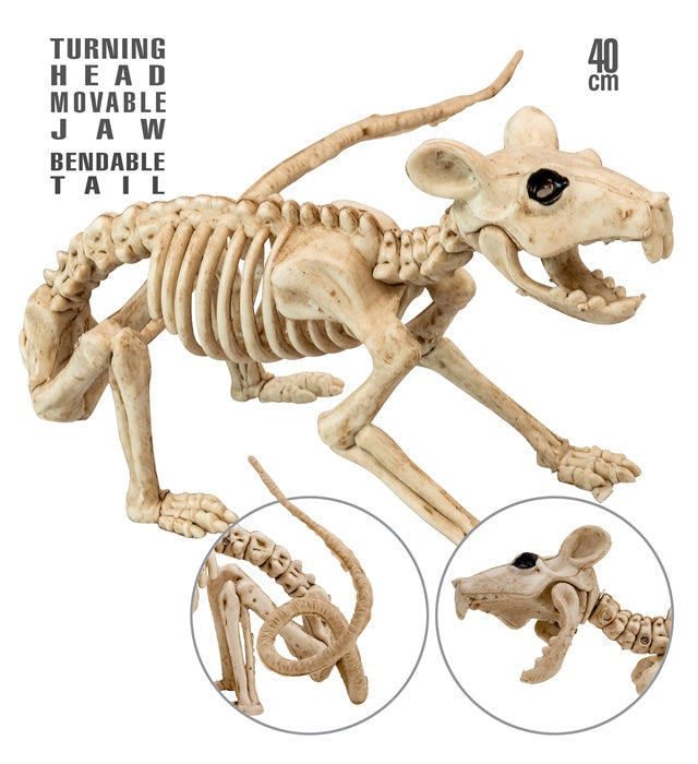 Rat Skeleton 40 Cm 