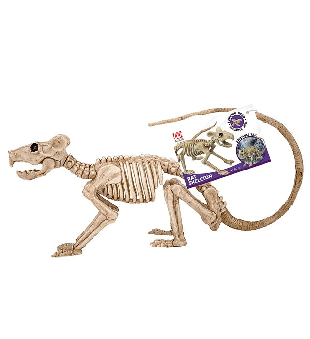 Rat Skeleton 40 Cm 