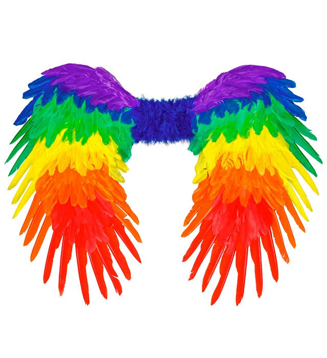 Rainbow Foldable Feather Wings 80X60 Cm