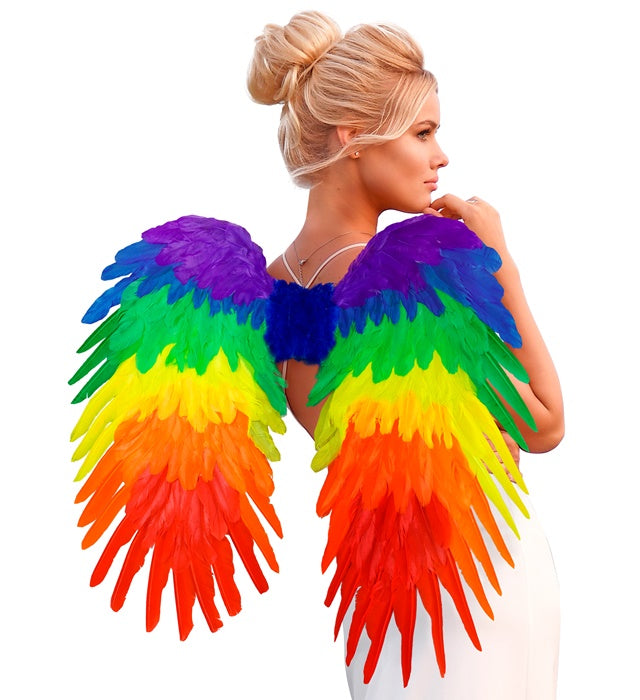 Rainbow Foldable Feather Wings 80X60 Cm