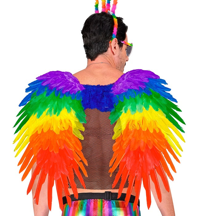 Rainbow Foldable Feather Wings 80X60 Cm