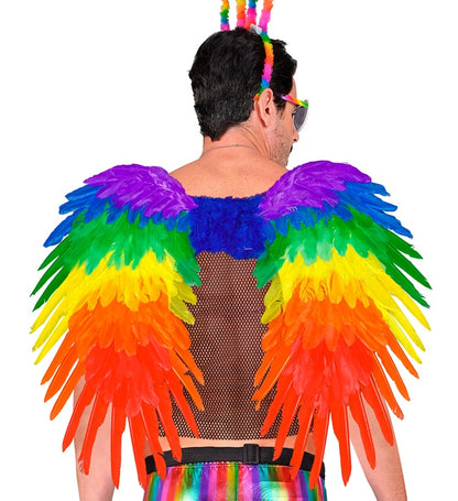 Rainbow Foldable Feather Wings 80X60 Cm
