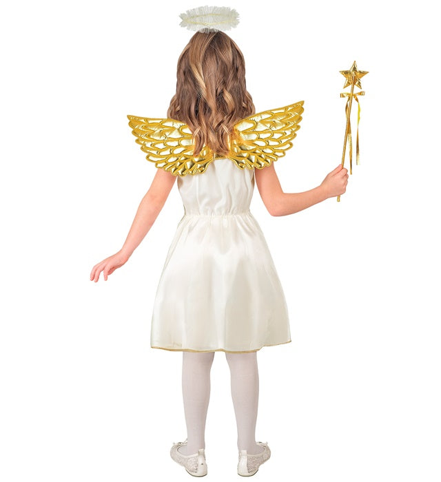 Angel  Dress, Wings, Halo 