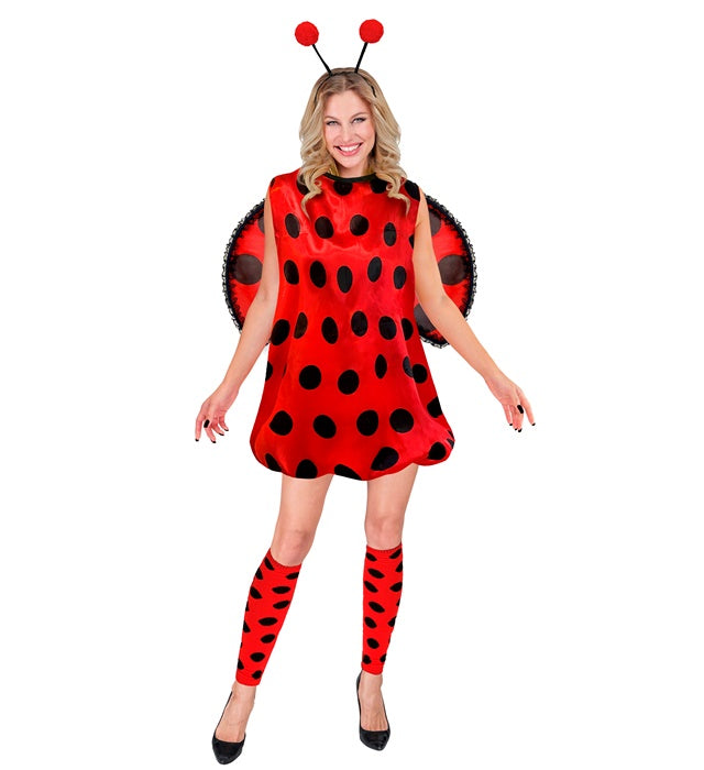 Ladybug  Dress, Leg Warmers, Wings, Antennas 