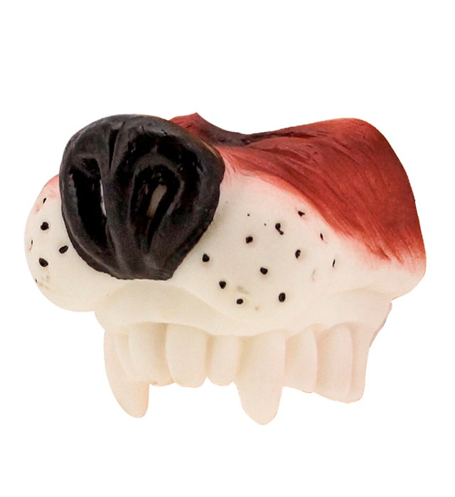 Dog Nose