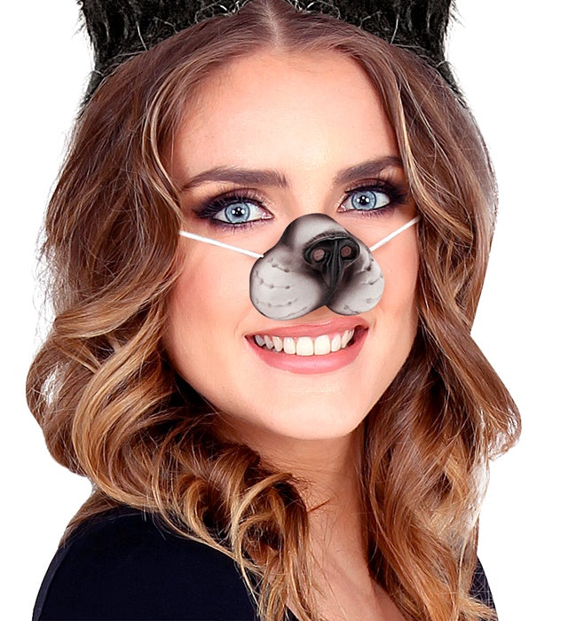 Cat Nose