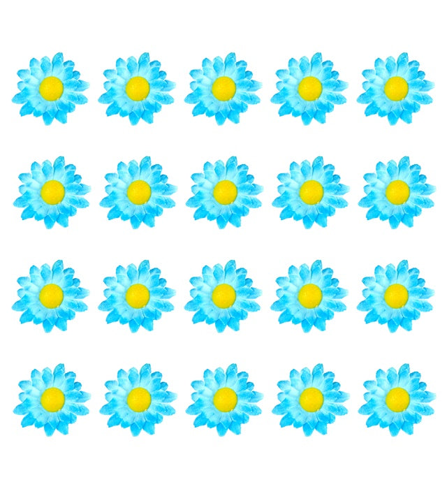 Box Of 20 Light Blue Decorative Daisy Flowers