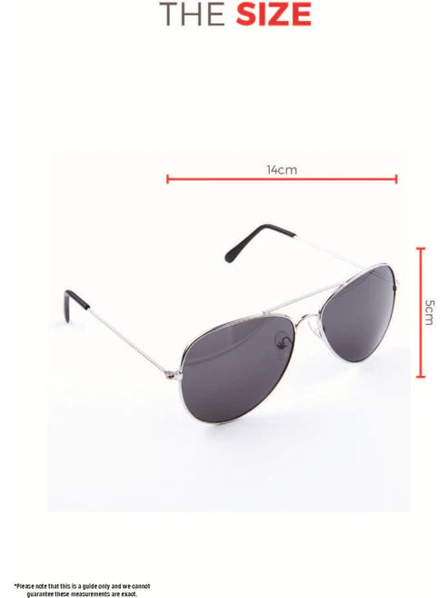 Aviator Specs Adult Silver Armed Forces Glasses Costume Accessory
