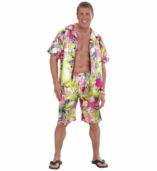Hawaiian  Shirt, Shorts 