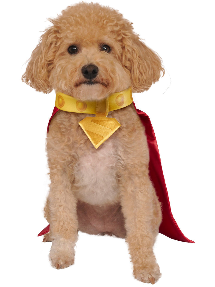 Krypto Pet Cape and Collar Pet Costume Superman (movie 2025) Fancy Dress