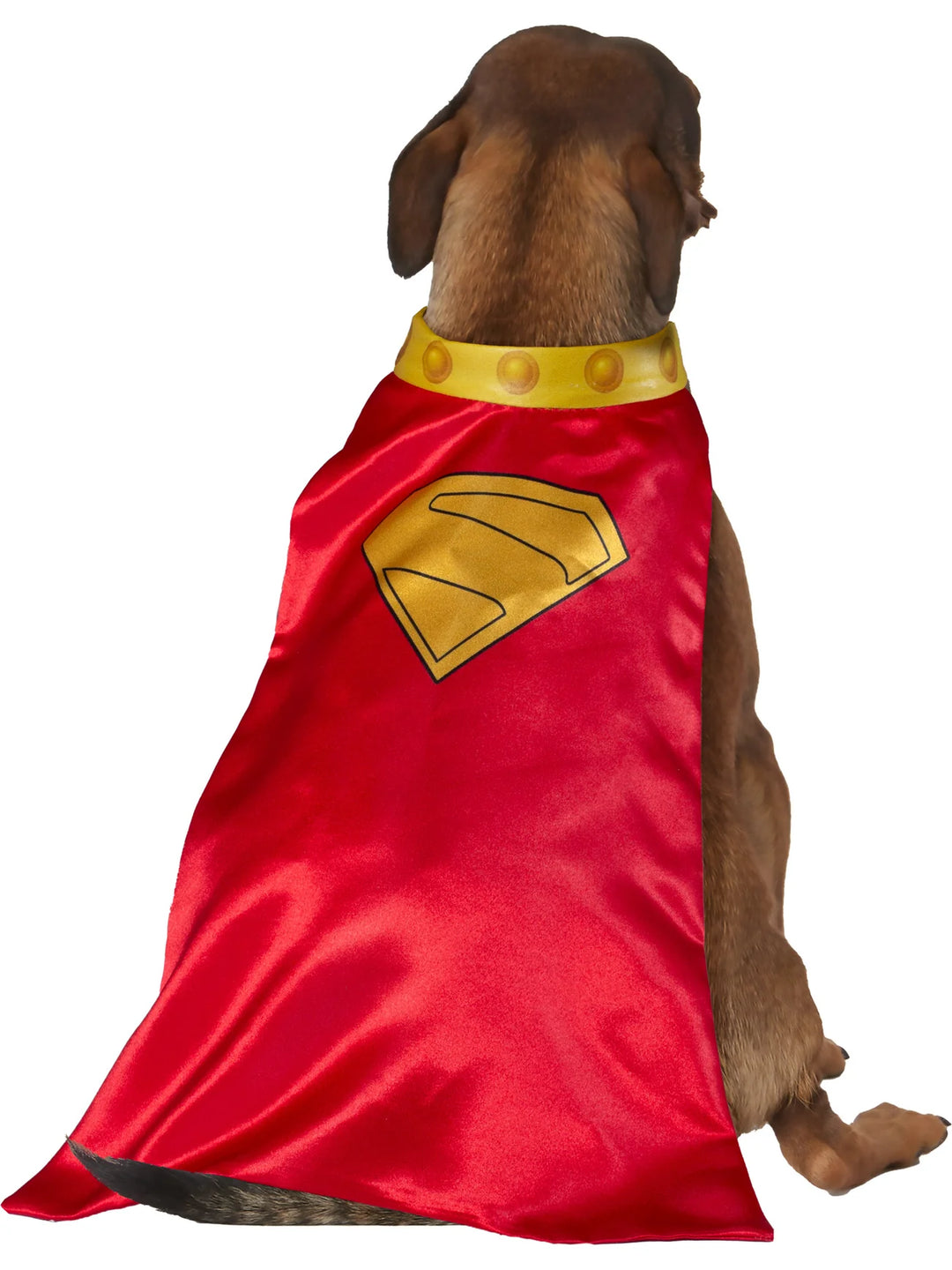 DC Superman Movie Krypto Pet Cape with Collar