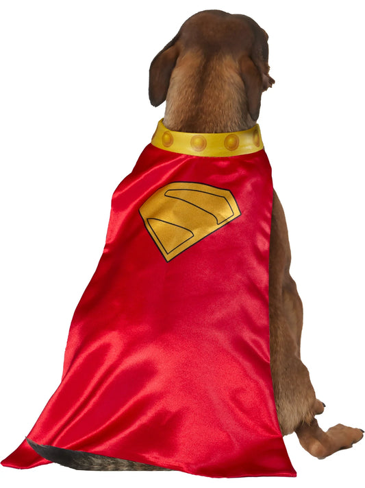 DC Superman Movie Krypto Pet Cape with Collar 2
