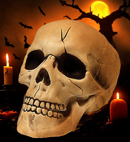 Pvc Skull With Movable Jaw 21 Cm