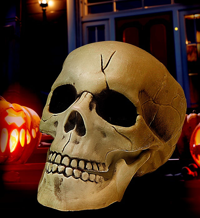 Pvc Skull With Movable Jaw 21 Cm