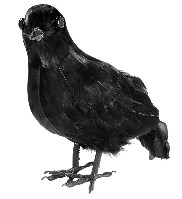 Feathered Crow 27 Cm