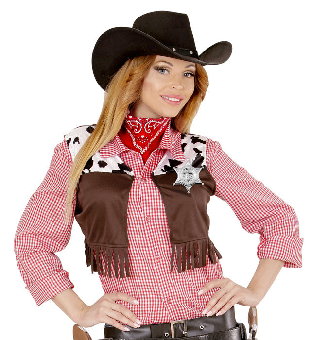 Sheriff Star Metal