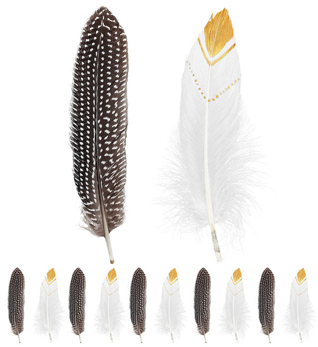 Set Of 12 Native Indian Feathers 2 Colors Ass.
