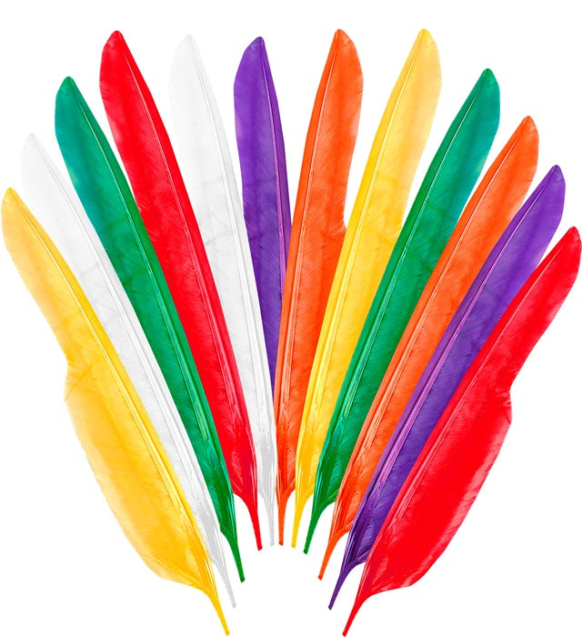 Set Of 12 Native Indian Feathers 35 Cm - 6 Col. Ass
